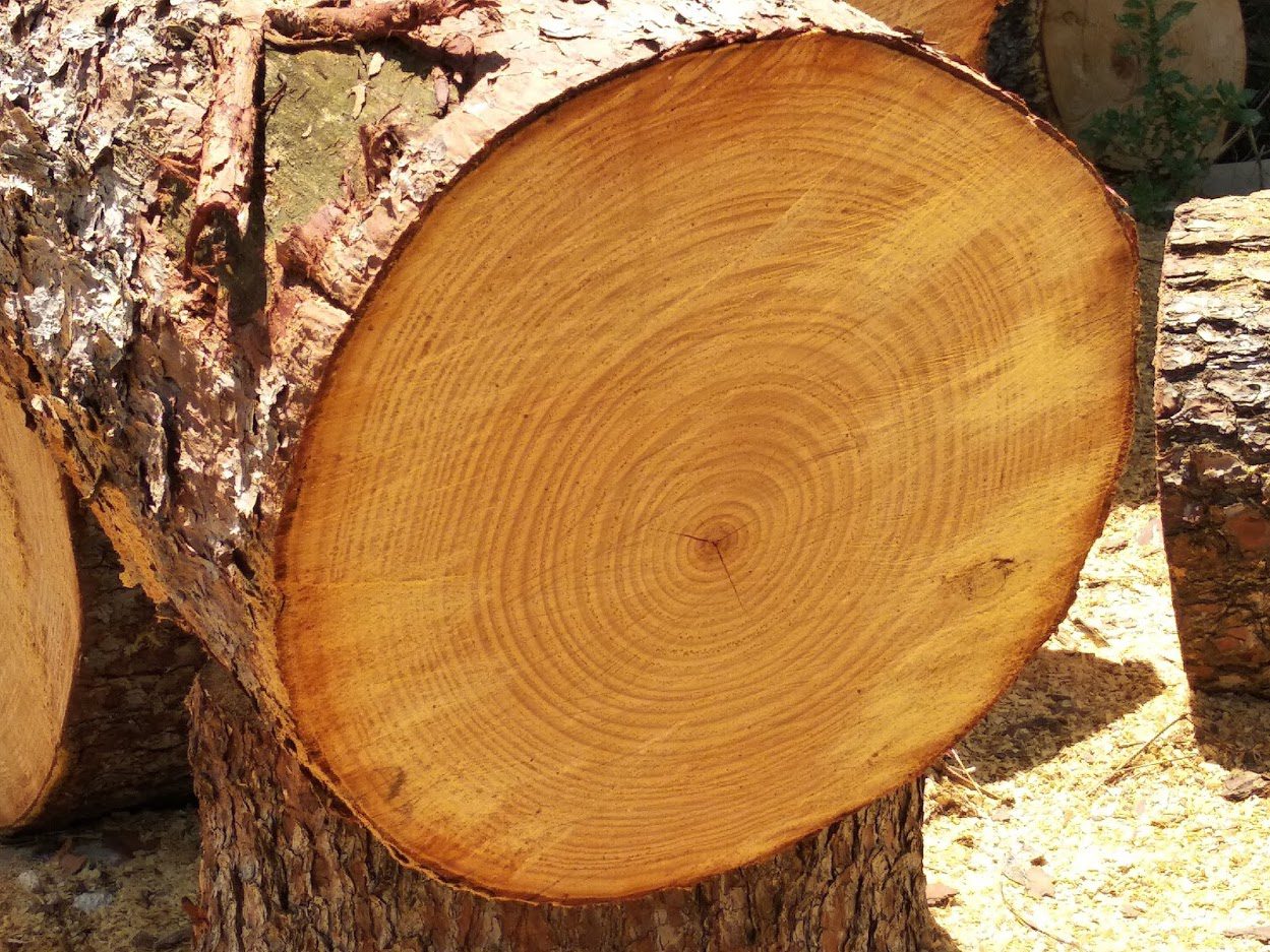 סוגי עץ להסקה לקמין עץ
